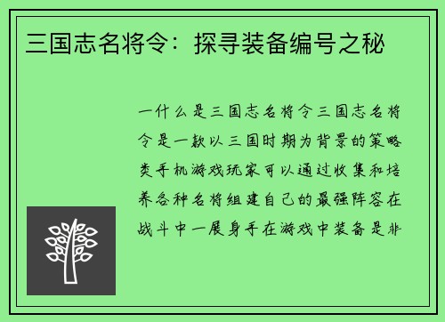 三国志名将令：探寻装备编号之秘